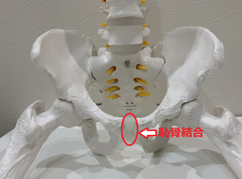 出産後の骨盤の開きとは 茨木いで整骨院
